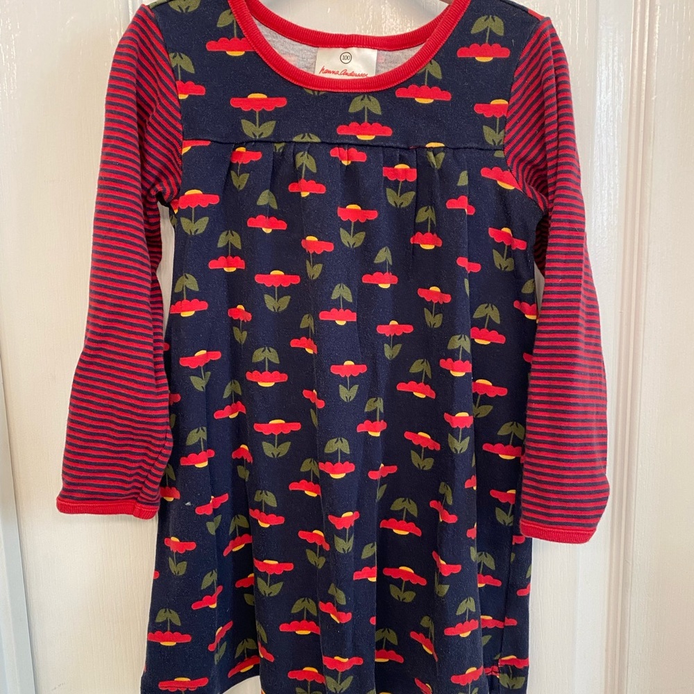 Hanna Andersson fall floral swing dress